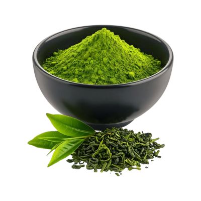 Green Tea Extract