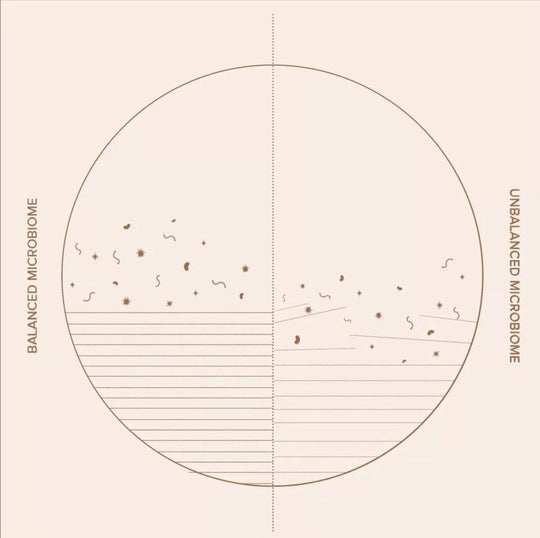 Everything You Need to Know About the Skin Microbiome