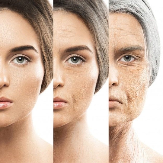 Restoration of Collagen Formation in Photo-Damaged Skin: A Journey to Rejuvenated Youthfulness